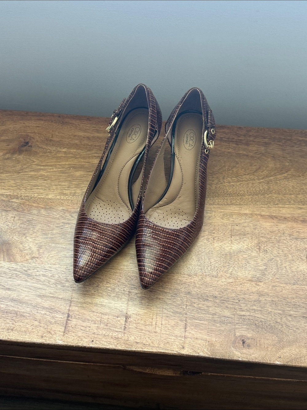 Joan & David Pointed Toe Brown Women's Heels